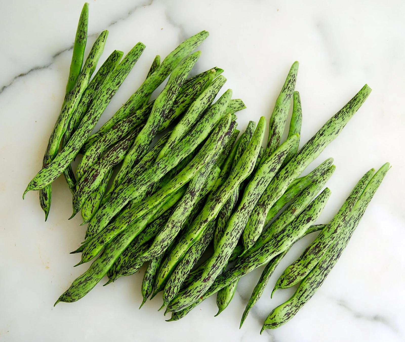 Rattlesnake Bean (Pole) - Image 5
