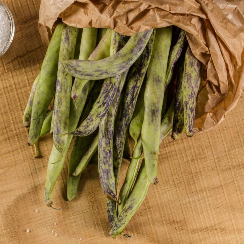 Rattlesnake Bean (Pole) - Image 6