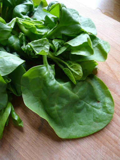 Red and Green Mix Malabar Spinach - Image 5