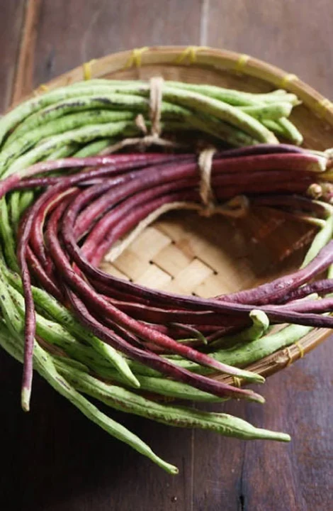 Red and Green Mix Yard Long Bean - Image 6