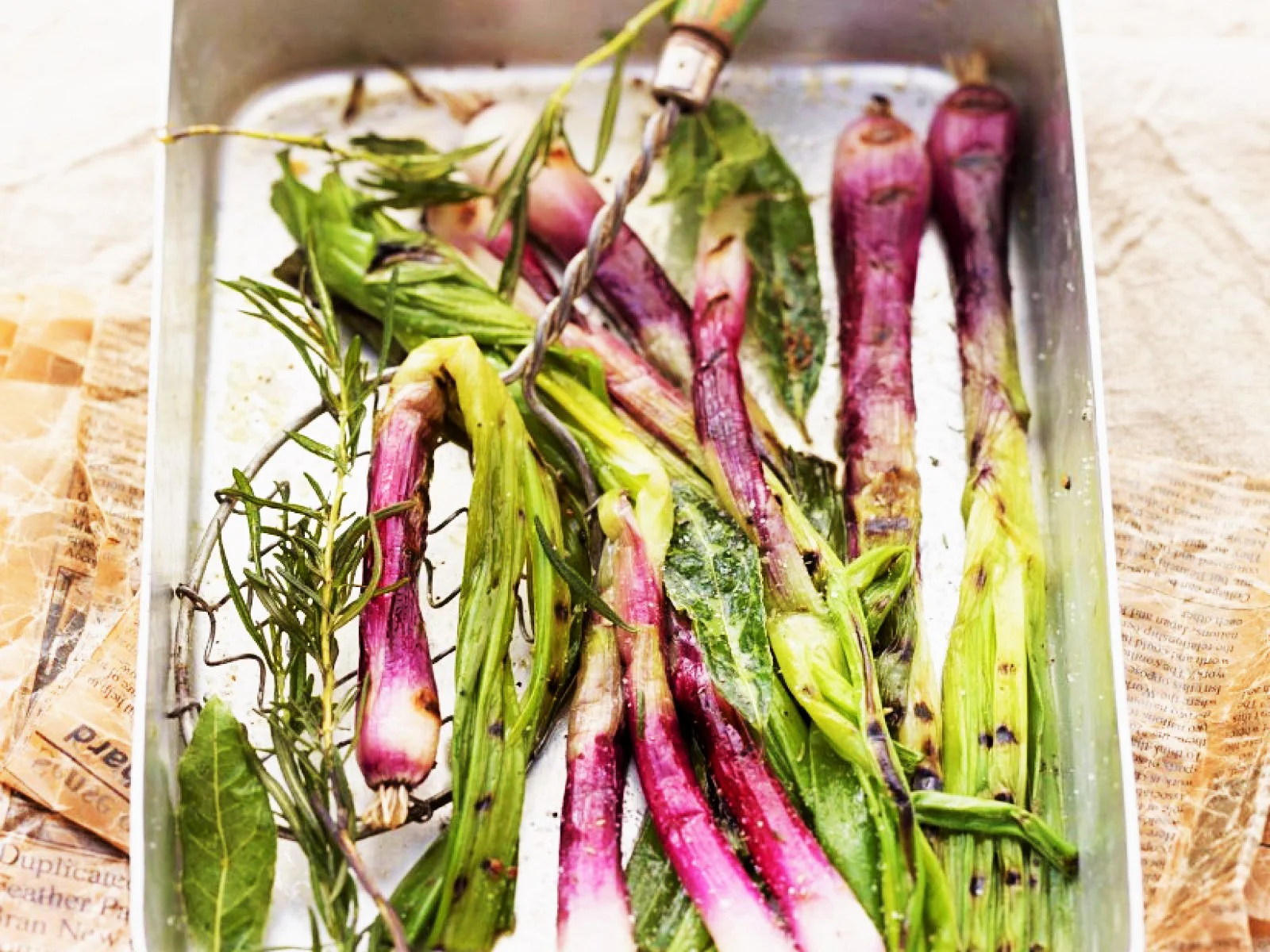 Red Beard Spring Onion - Image 7