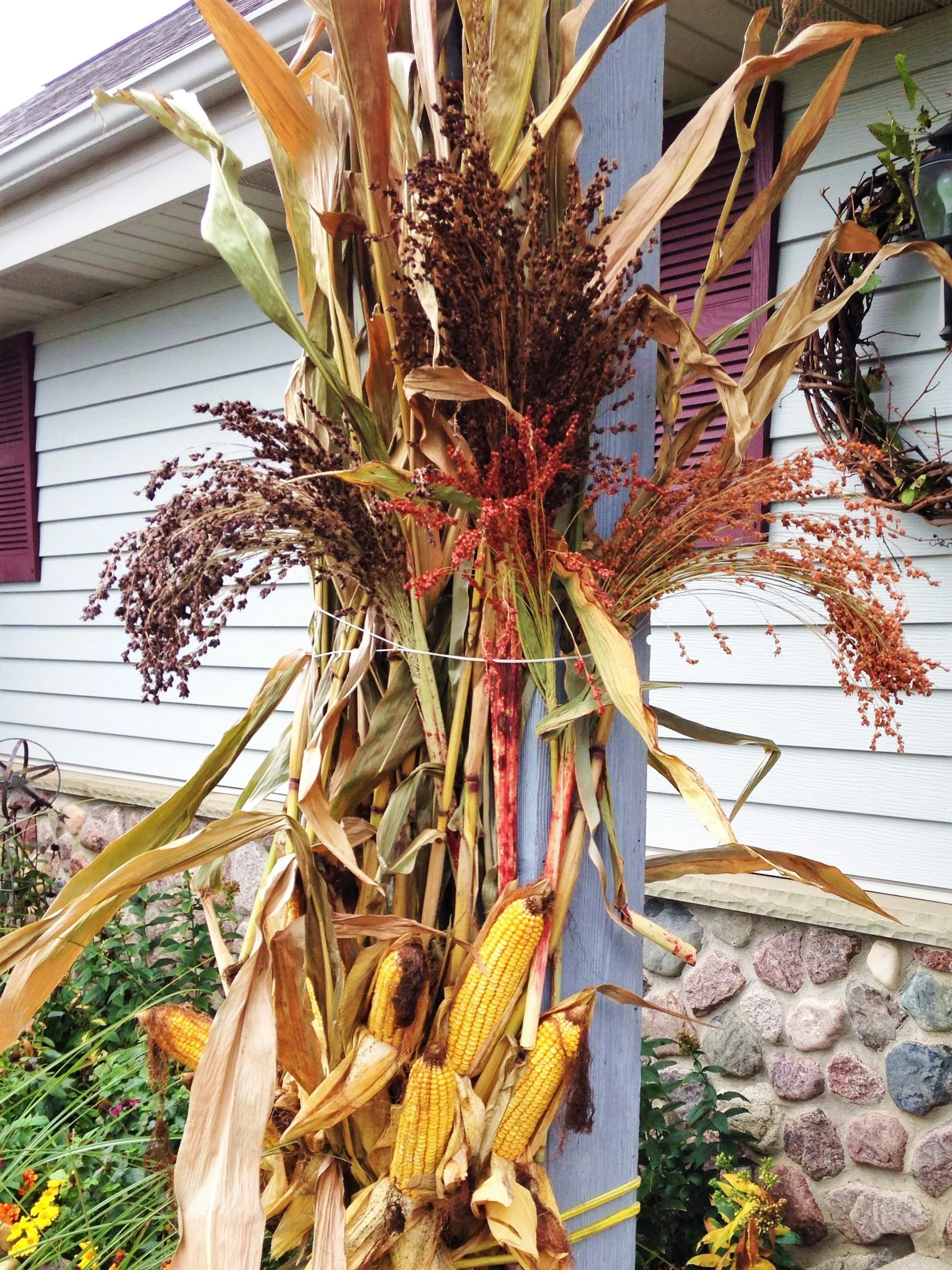 Red Broom Corn - Image 11