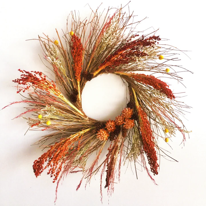 Red Broom Corn - Image 7