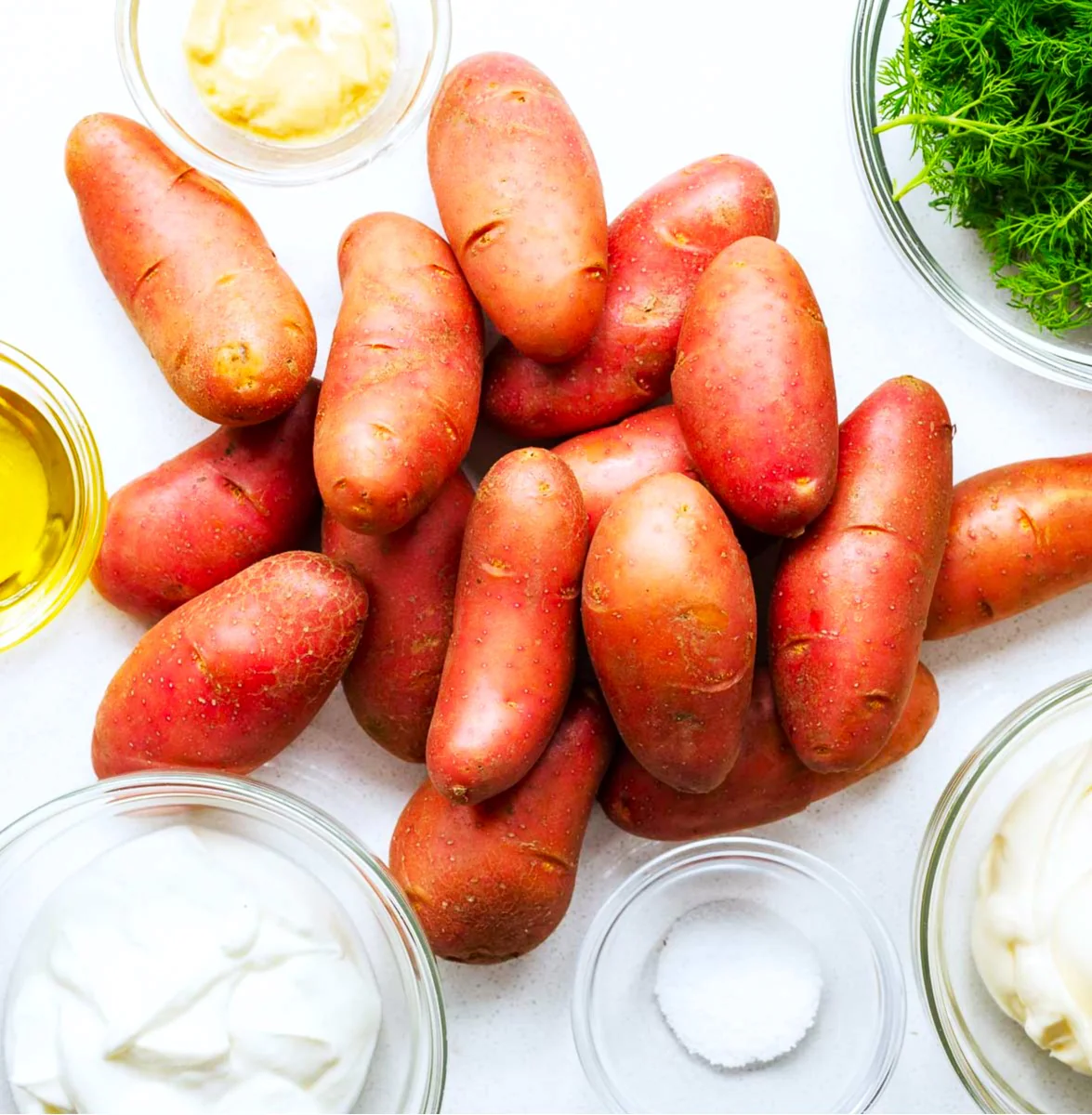 PRE-ORDER NOW! SHIPS APRIL 2026 - Red French Fingerling Seed Potatoes - Image 6