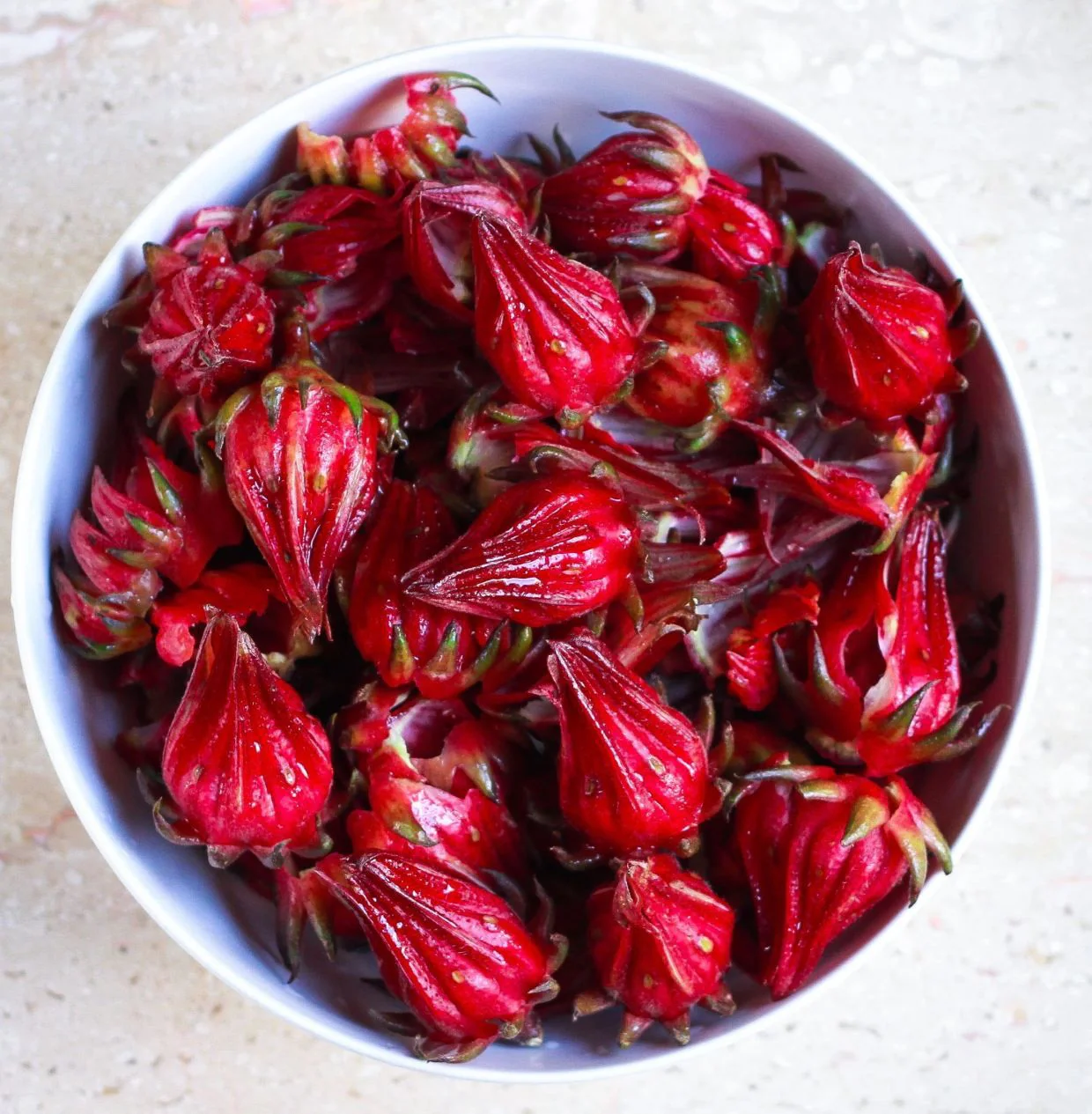 Red Hibiscus Roselle - Image 5