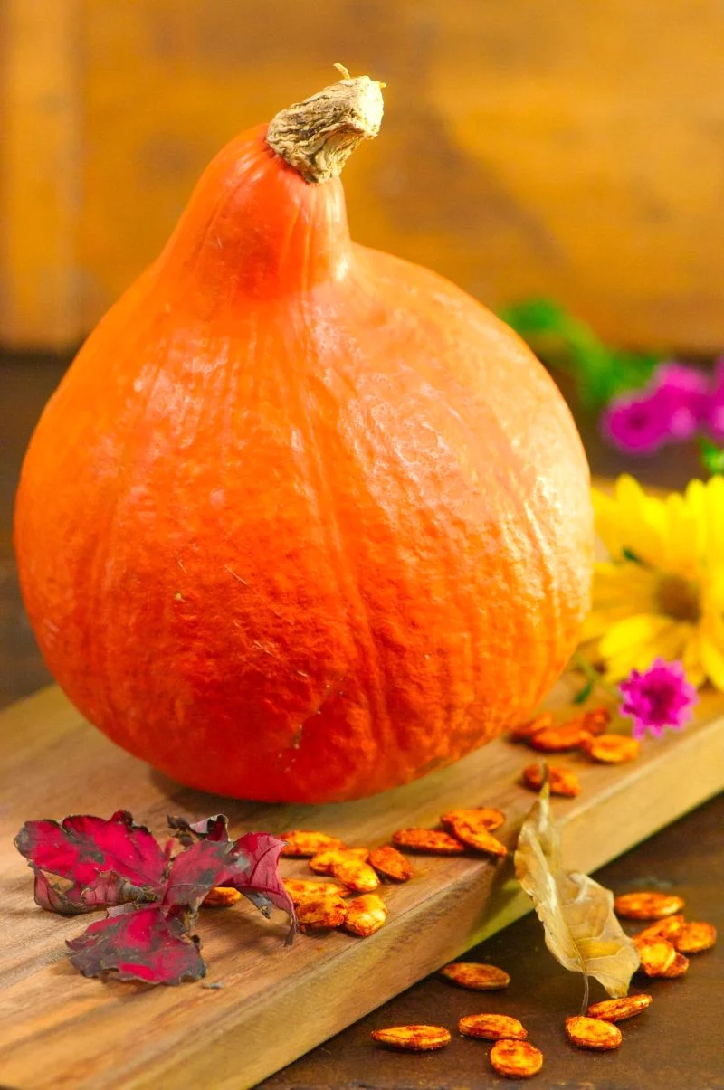 Japanese Red Kuri Squash - Image 8