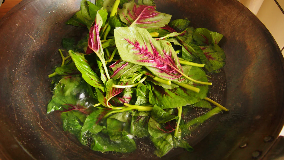 Red Leaf Amaranth - Image 3