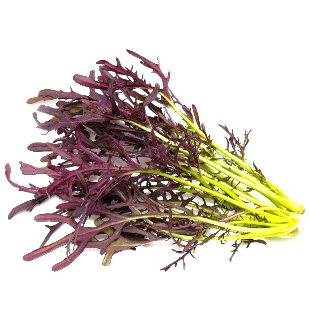 Red Mizuna Mustard Greens - Image 10
