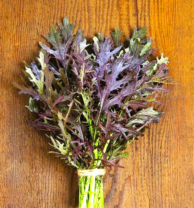 Red Mizuna Mustard Greens - Image 5