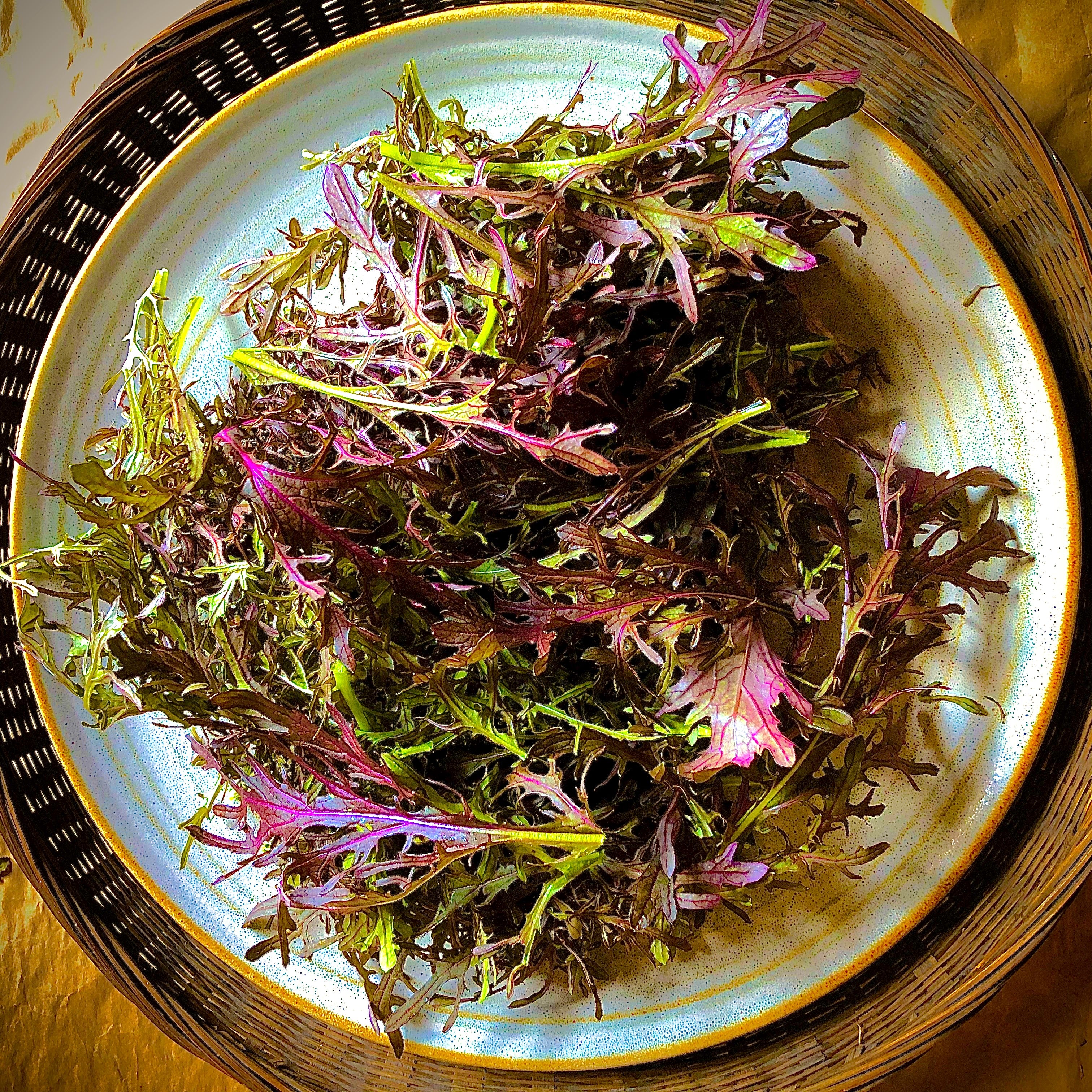 Red Mizuna Mustard Greens - Image 9
