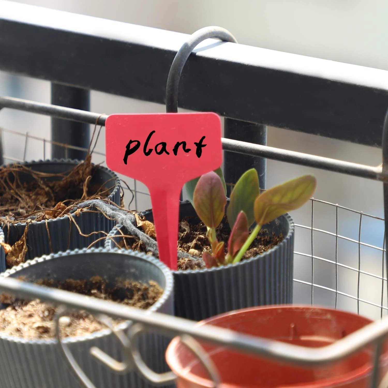 Red T-Shaped Plant Labels - Image 5