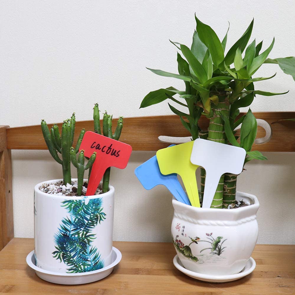 Red T-Shaped Plant Labels - Image 6