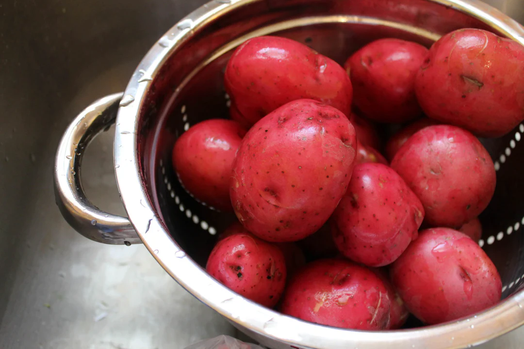 PRE-ORDER NOW! SHIPS APRIL 2026 - Red Pontiac Seed Potatoes - Image 3