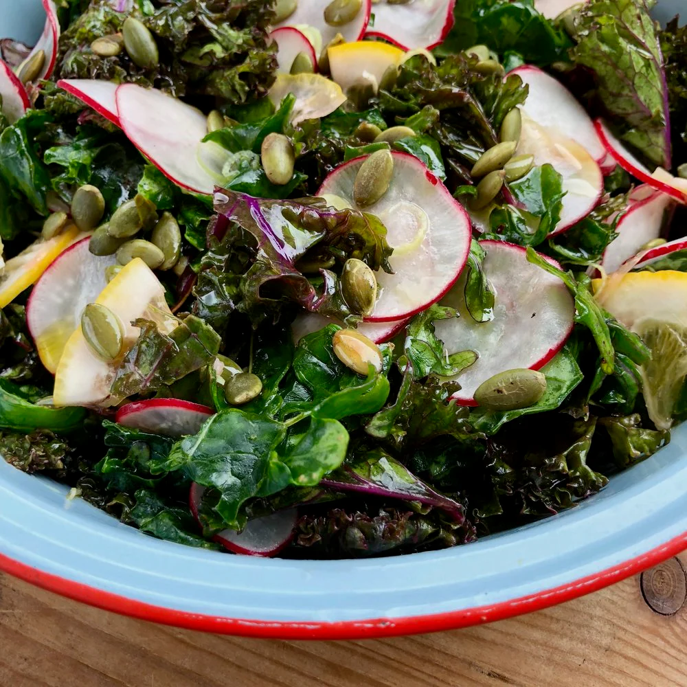 Red Russian Kale - Image 10