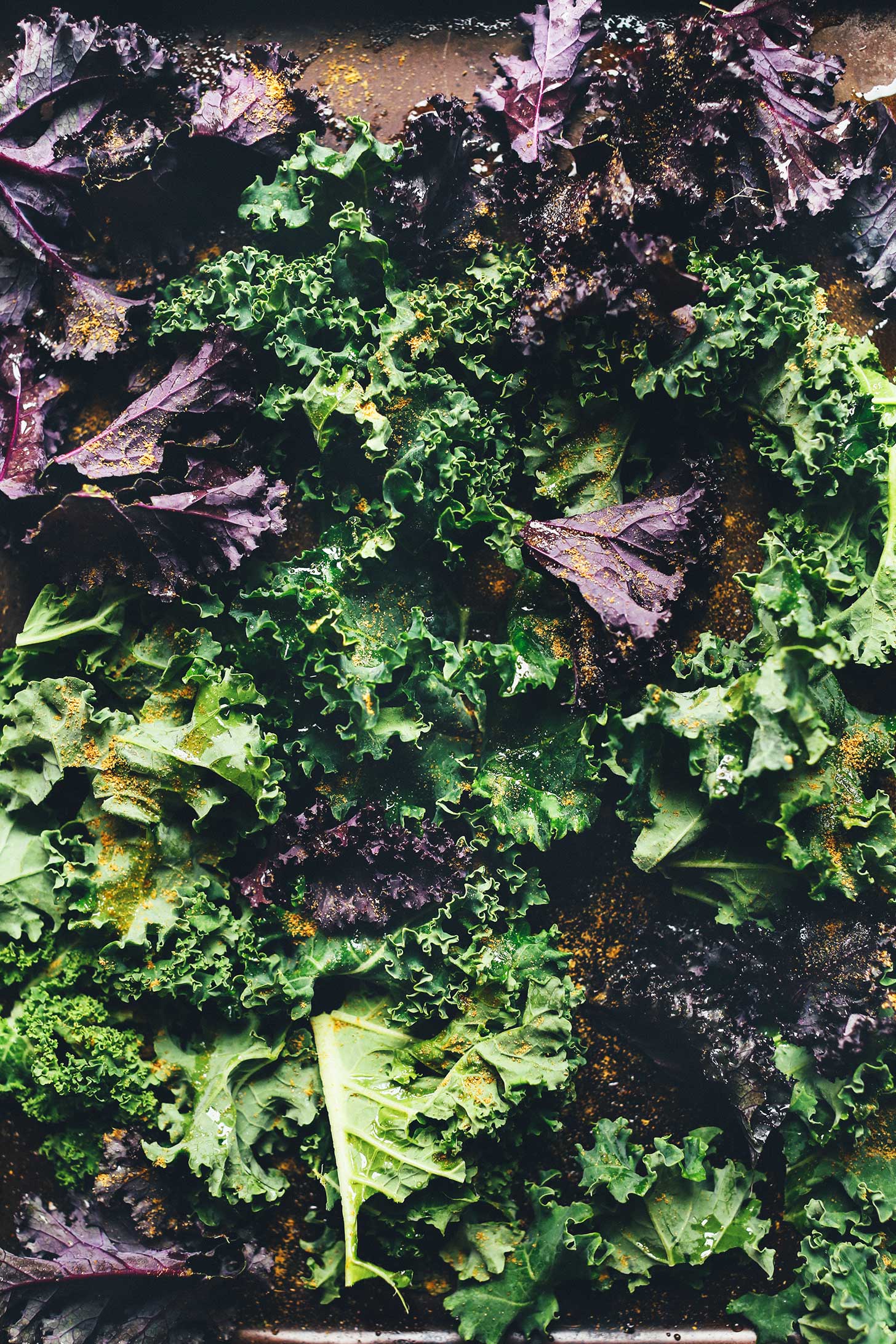 Red Russian Kale - Image 5