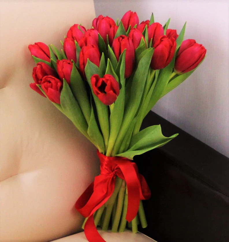 Red Seadov Dutch Tulip Bulbs - Image 8