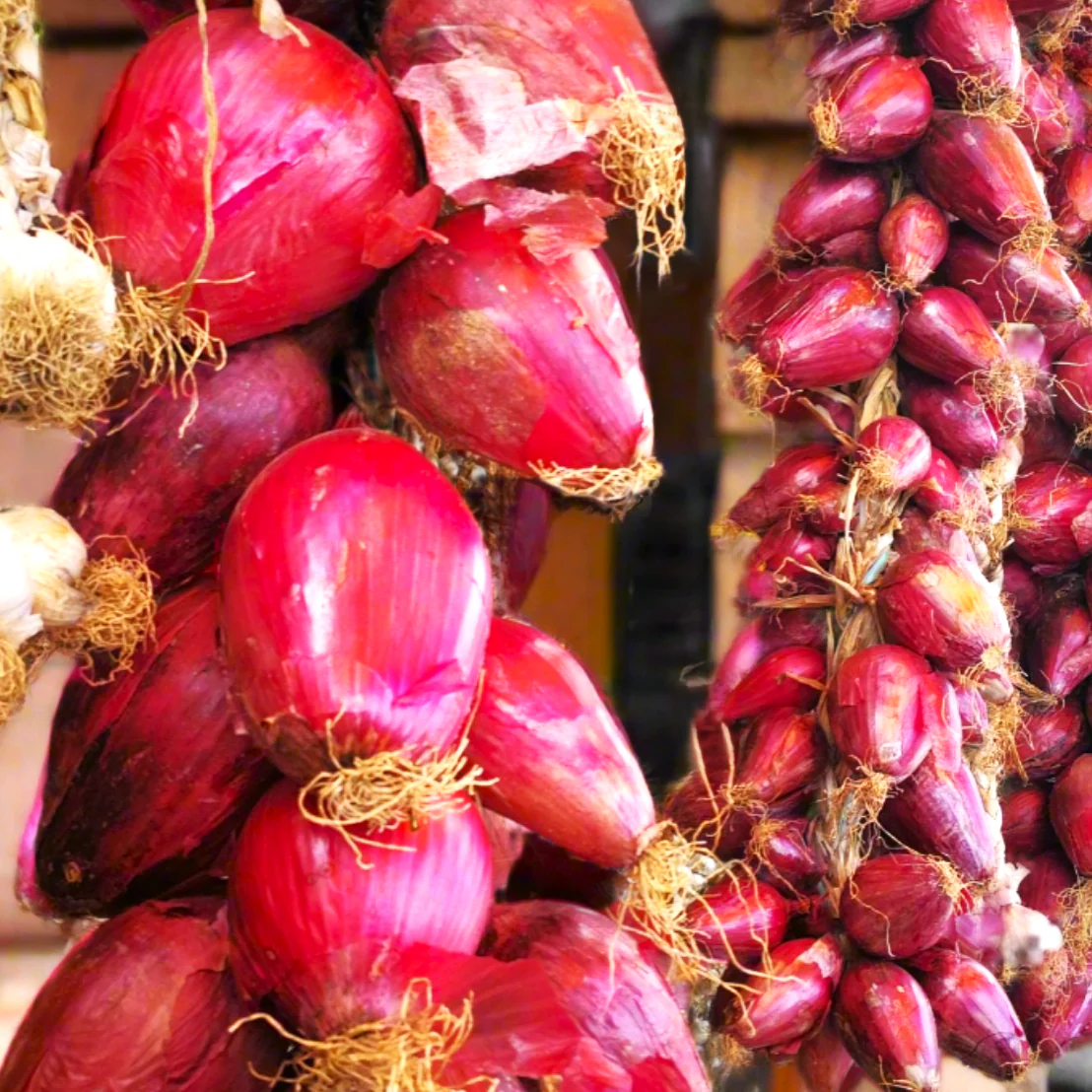 Red Torpedo Rossa Tropea Onion - Image 5
