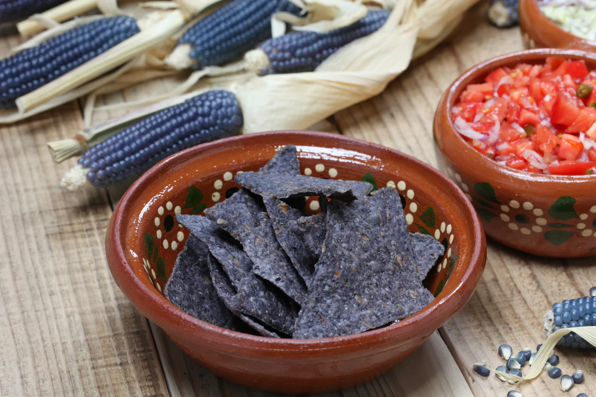 Rio Grande Blue Ornamental Corn - Image 8