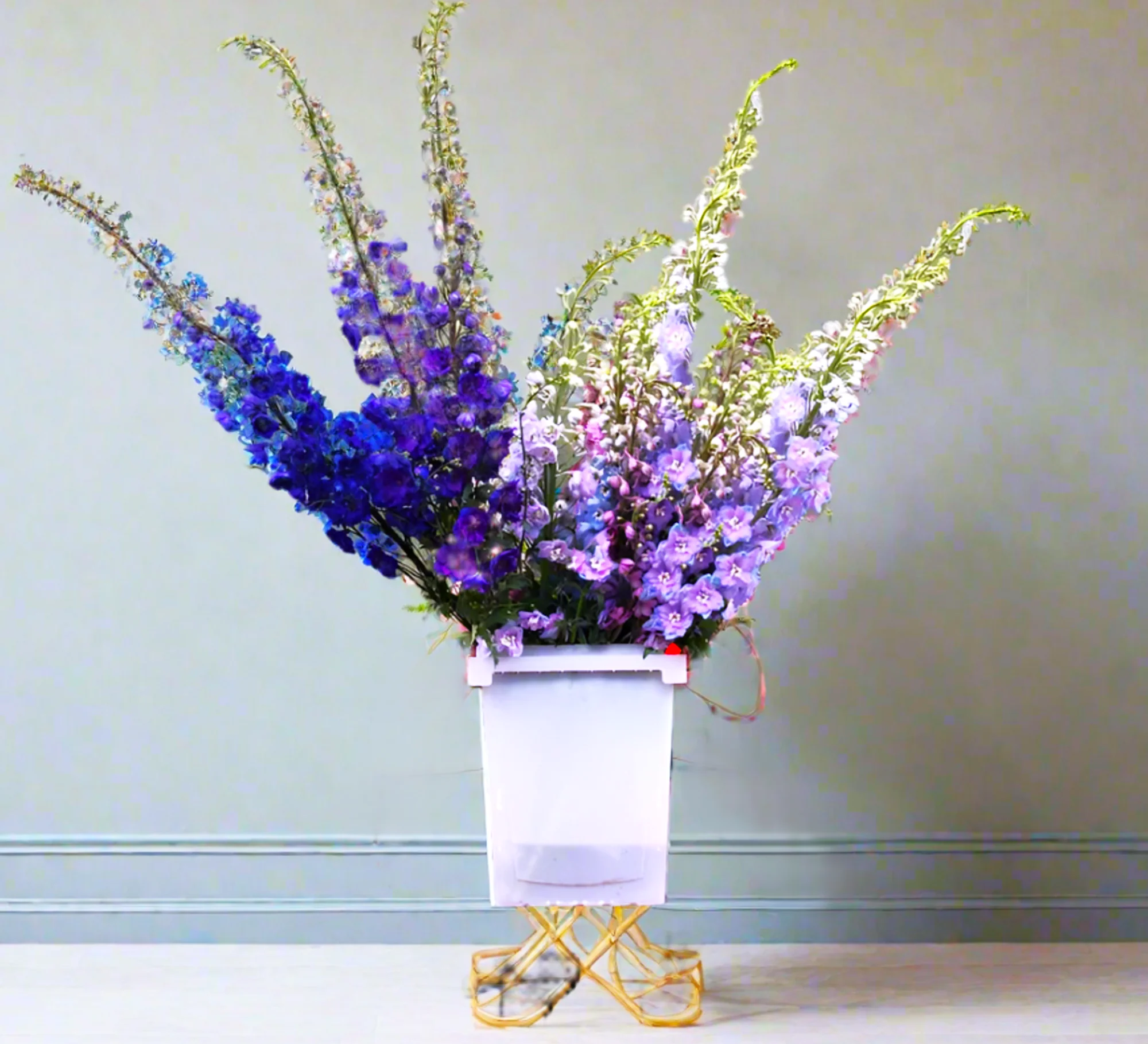 Rocket Mix Larkspur - Image 9