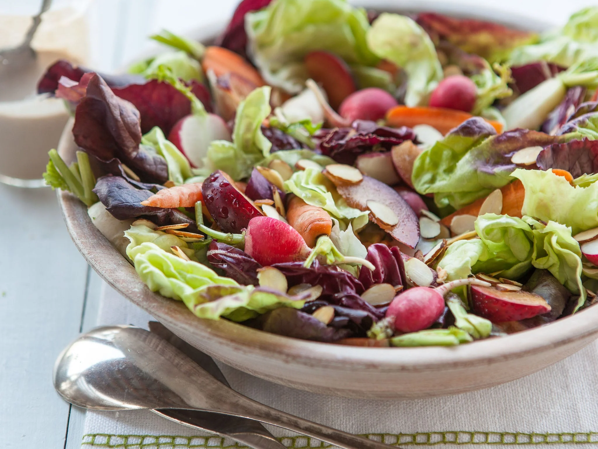 Rouge De Hiver Romaine Lettuce - Image 8
