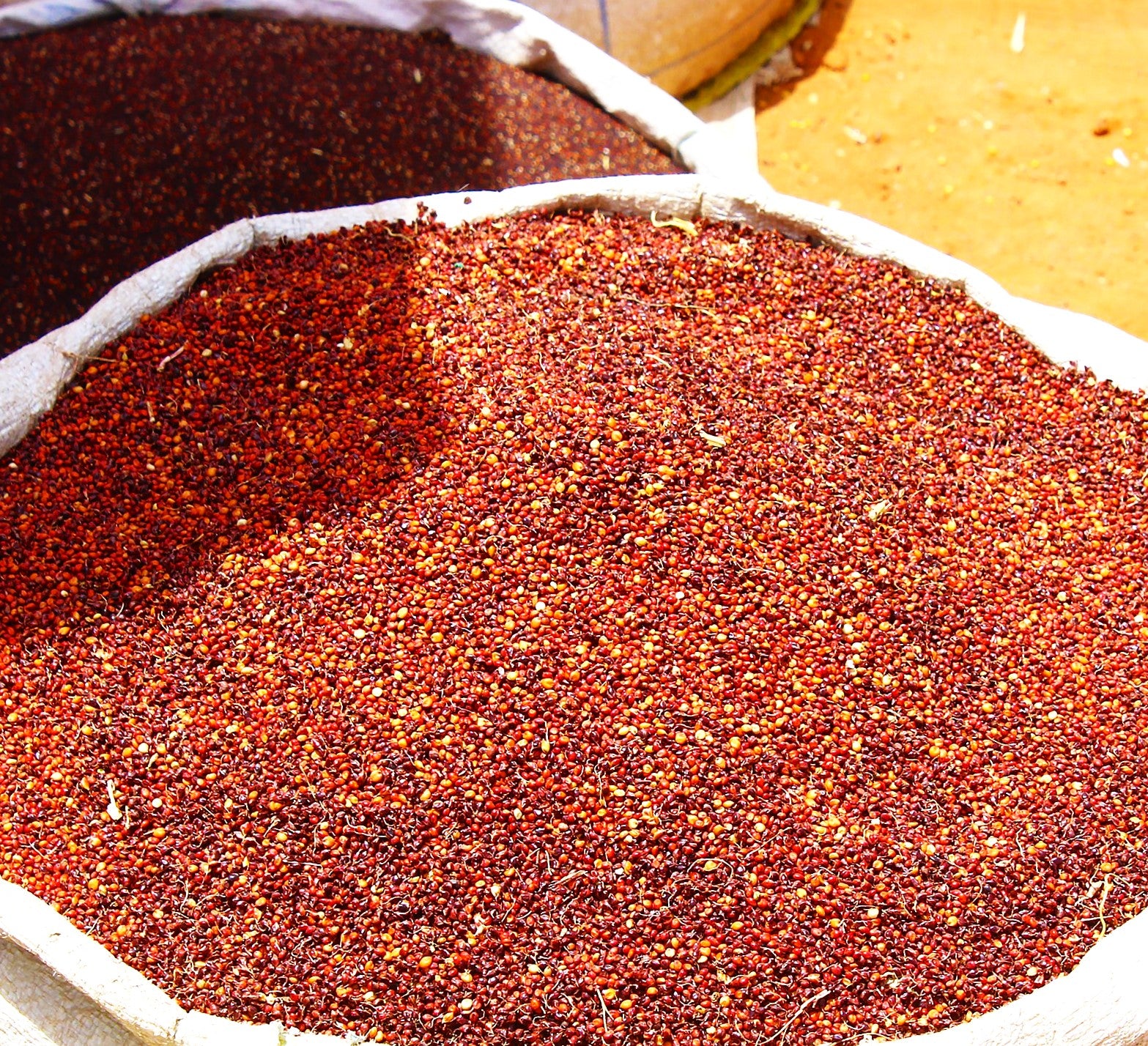 Rox Orange Syrup Cane Sorghum - Image 7