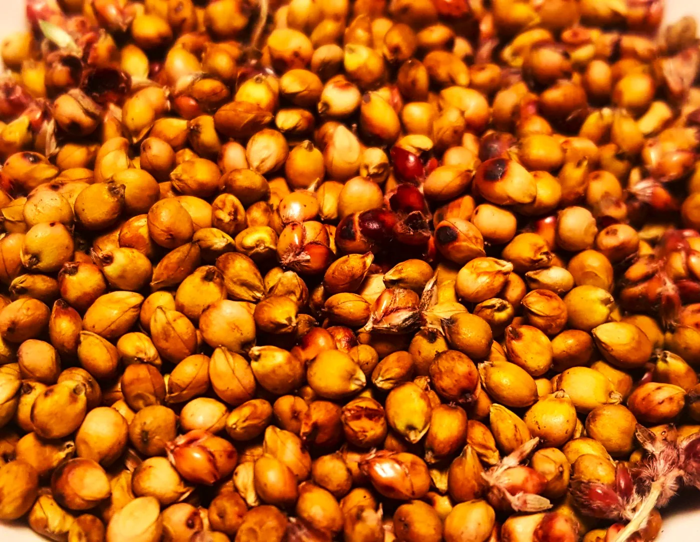 Rox Orange Syrup Cane Sorghum - Image 8