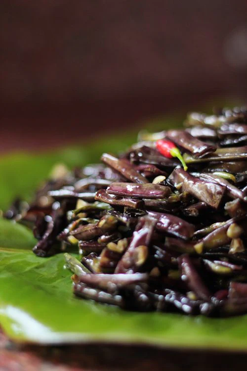 Royal Burgundy Bean - Image 7