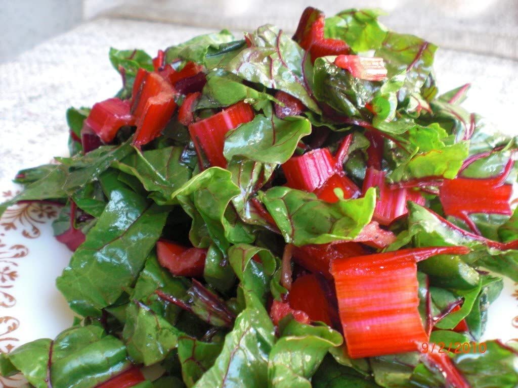 Ruby Red Rhubarb Swiss Chard - Image 12
