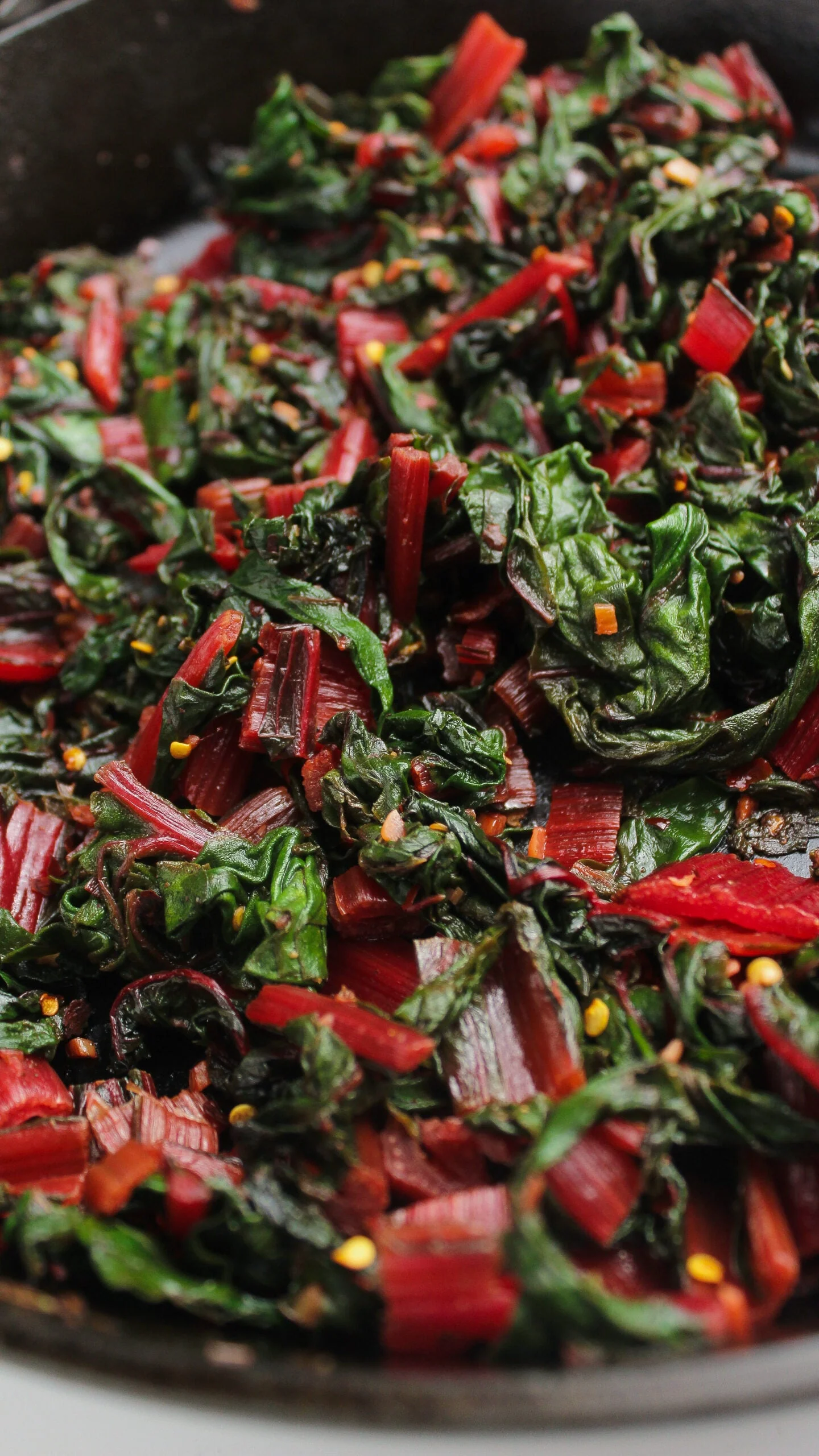Ruby Red Rhubarb Swiss Chard - Image 9