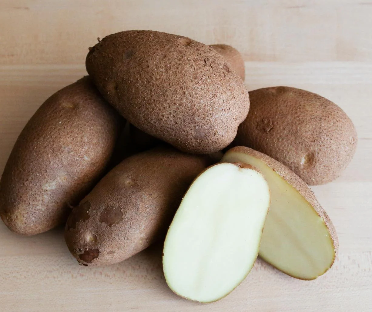 PRE-ORDER NOW! SHIPS APRIL 2026 - Russet Burbank Seed Potatoes - Image 4