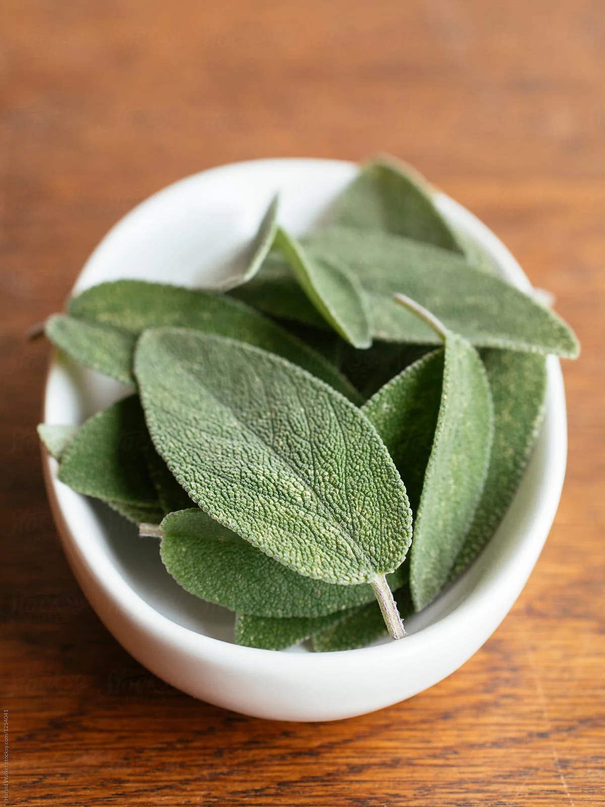 Broadleaf Sage - Image 3