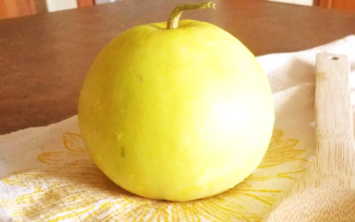Sakata's Sweet Asian Melon - Image 6