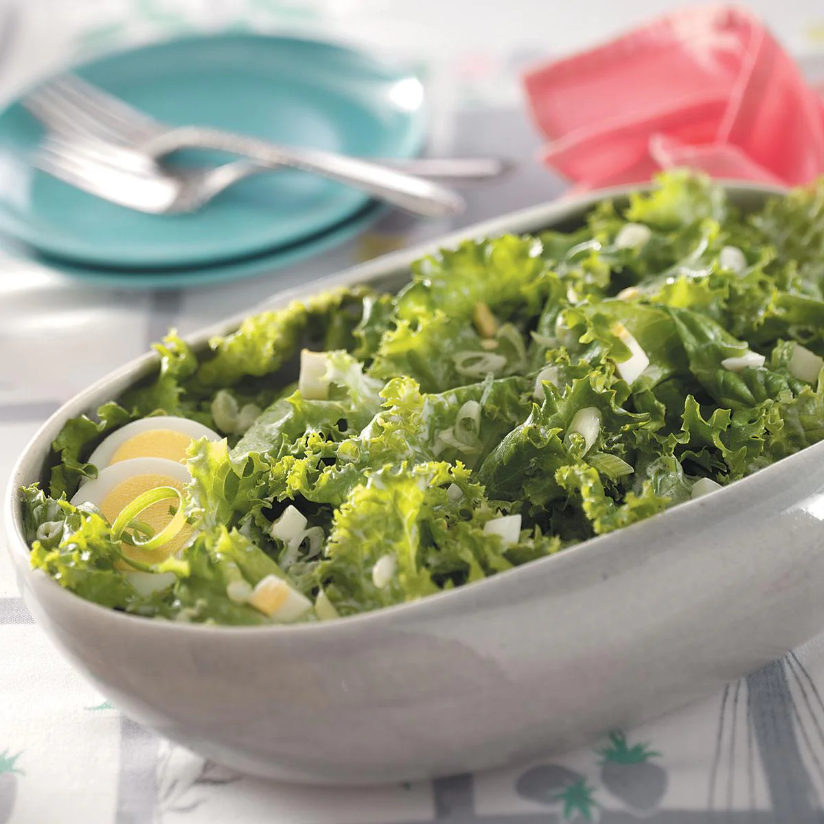 Salad Bowl Lettuce - Image 4