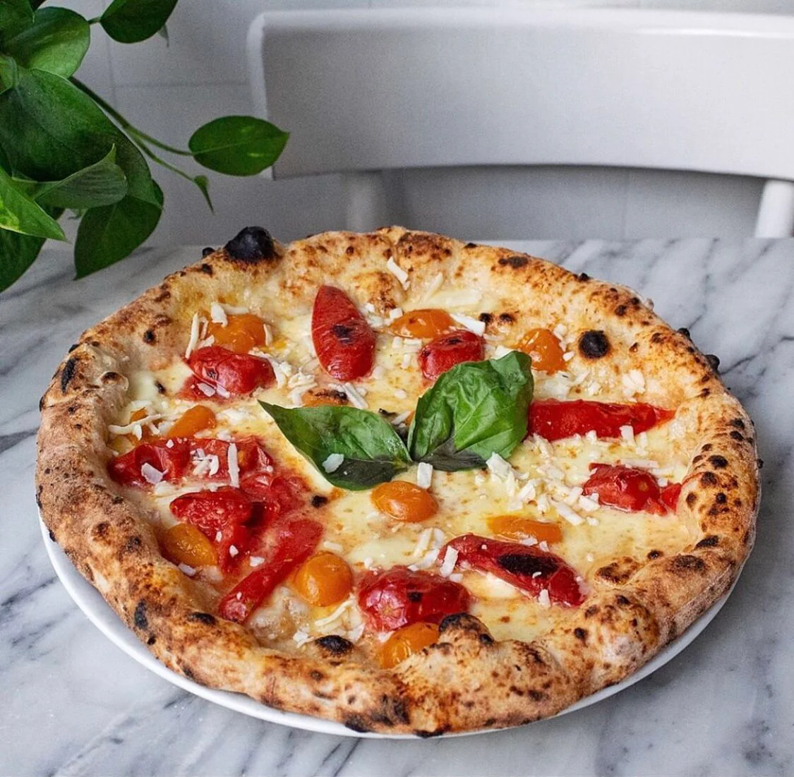 San Marzano Tomato - Image 6
