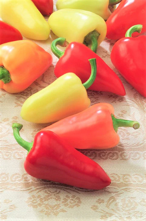 Santa Fe Grande Pepper - Image 3