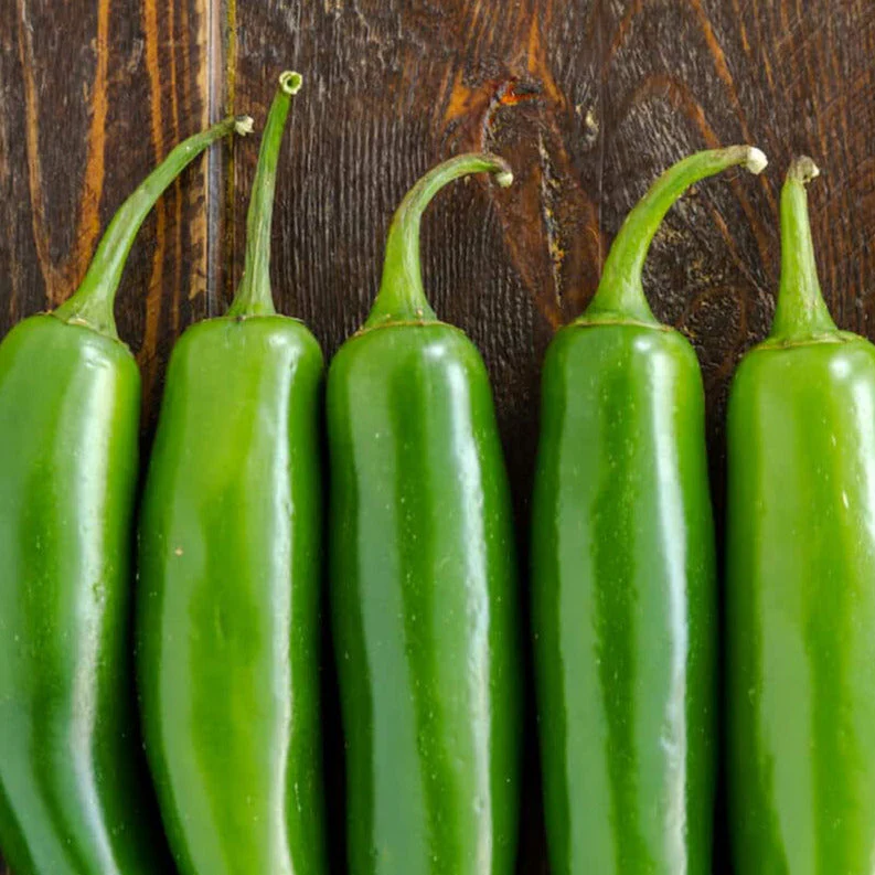 Serrano Pepper