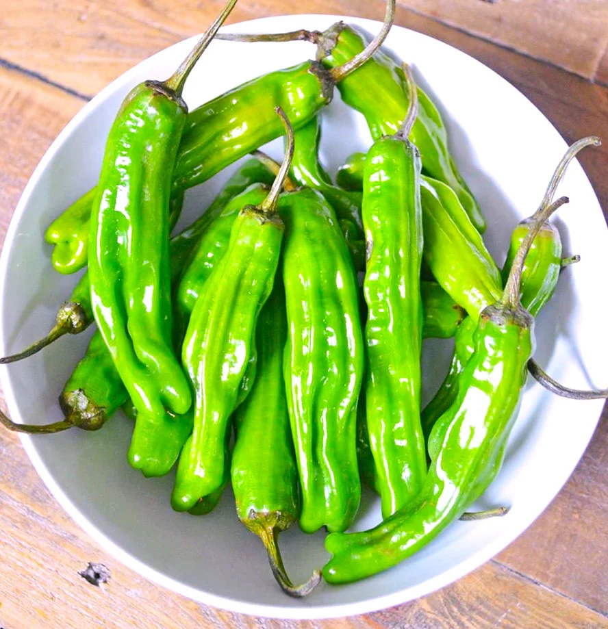 Shishito Pepper - Image 5