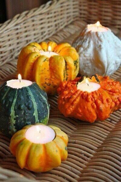 Small Mix Ornamental Gourd - Image 6