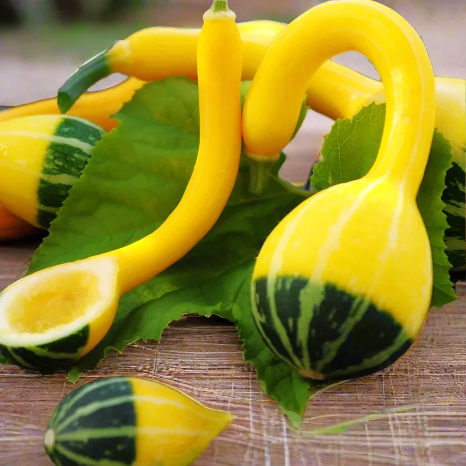 Small Spoon Ornamental Gourd