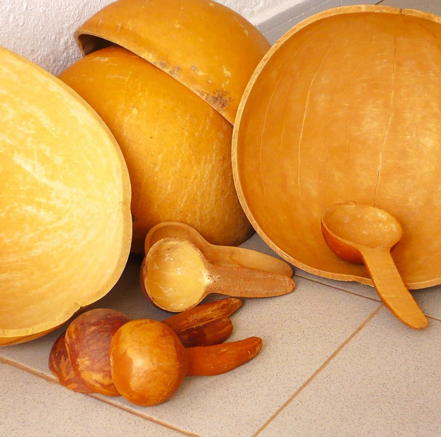 Small Spoon Ornamental Gourd - Image 9