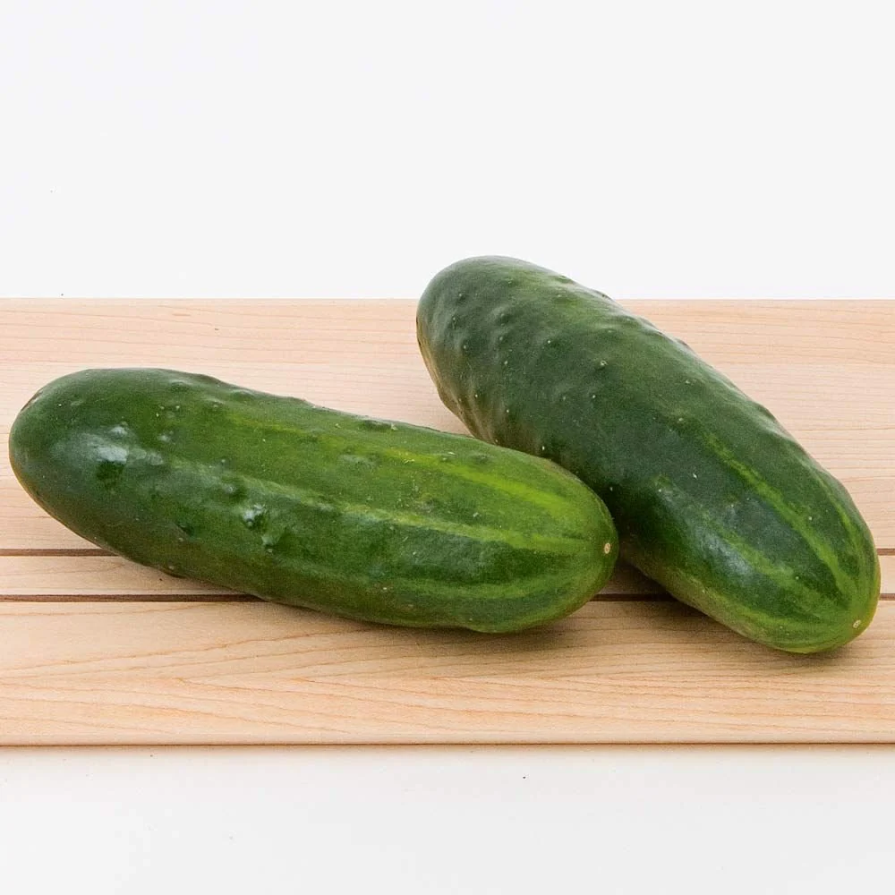 Spacemaster 80 Cucumber - Image 3