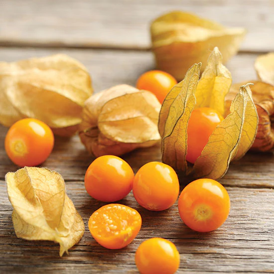 Strawberry Ground Cherry - Image 3