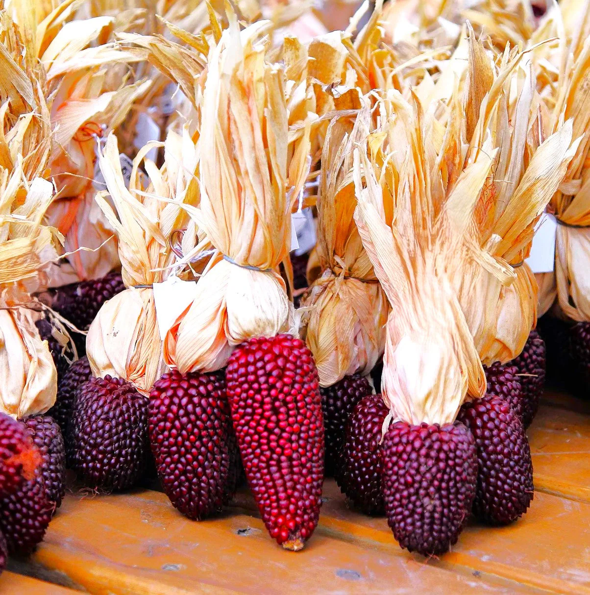 Strawberry Popcorn (Ornamental Corn) - Image 2