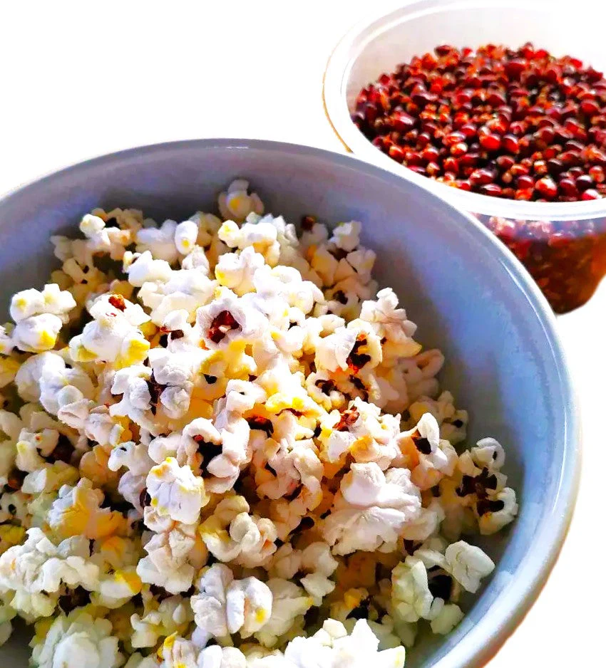 Strawberry Popcorn (Ornamental Corn) - Image 8