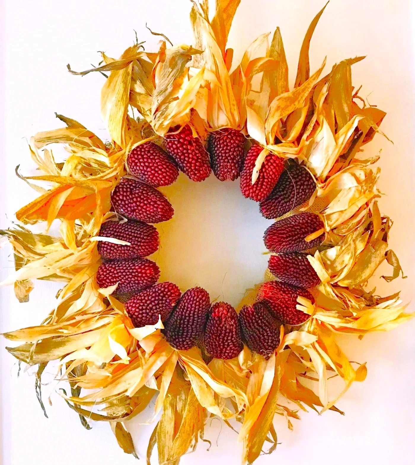 Strawberry Popcorn (Ornamental Corn) - Image 9