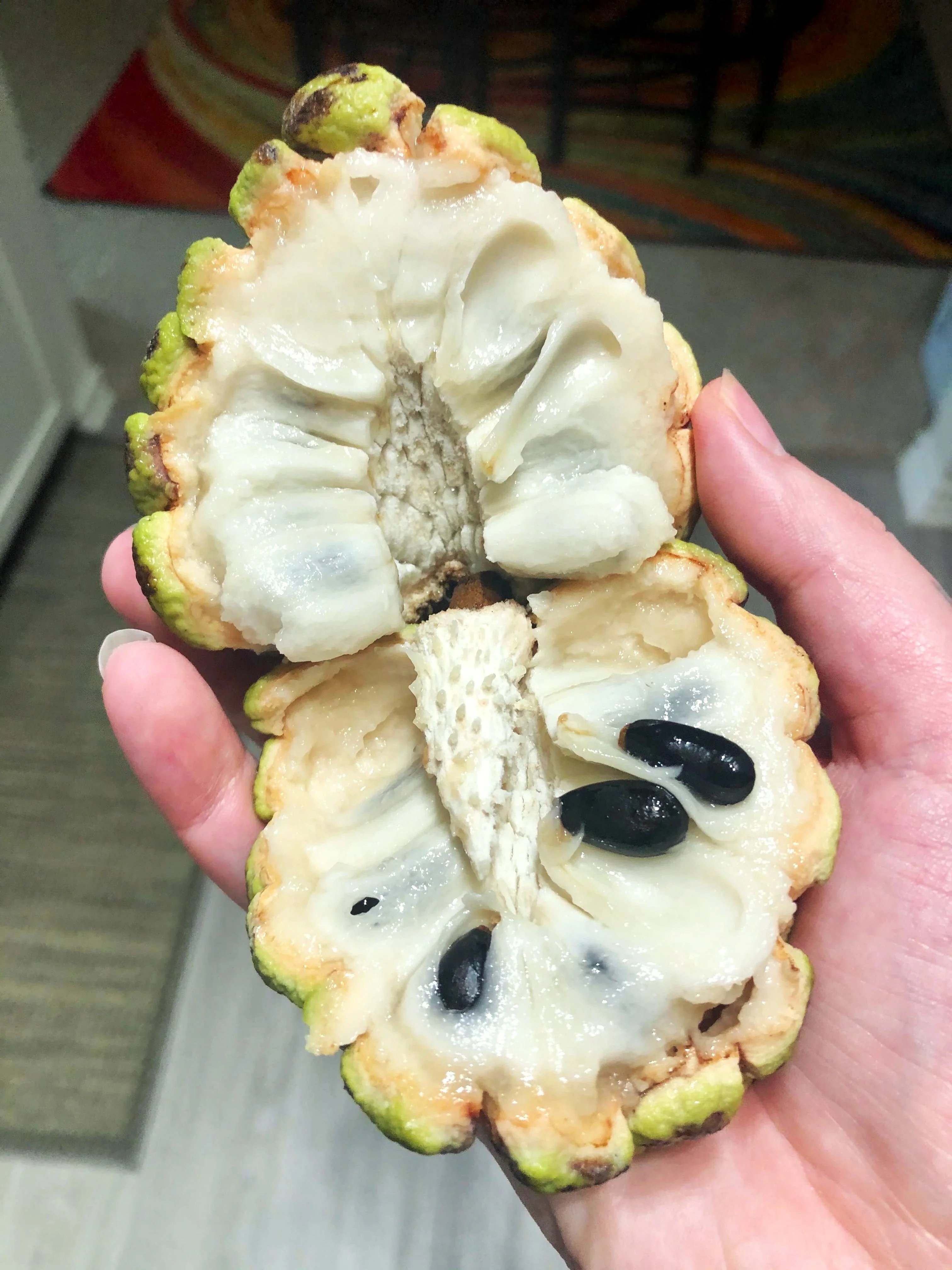 Sugar Apple Tree - Image 8
