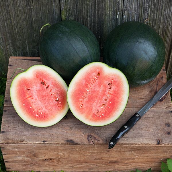 Sugar Baby Watermelon - Image 5
