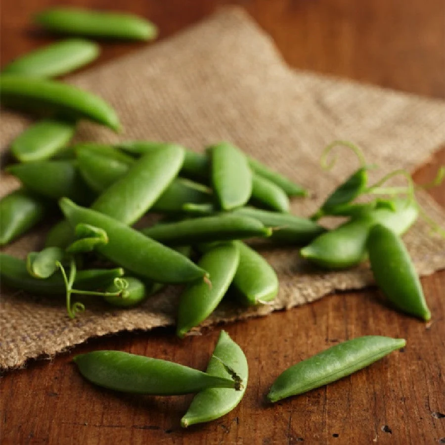 Sugar Daddy Snap Pea - Image 3