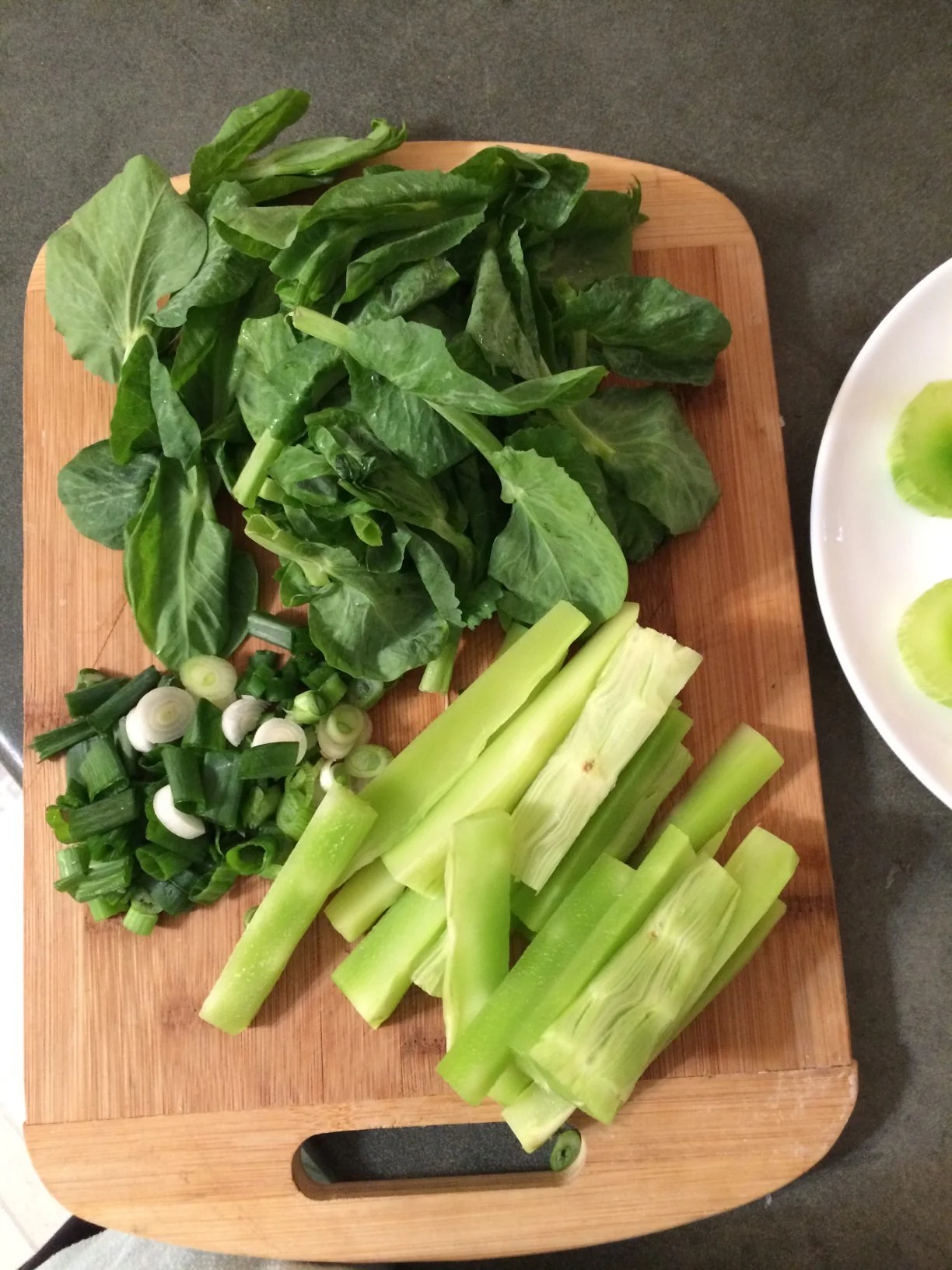 Summer 38 Celtuce (Stem Lettuce) - Image 4