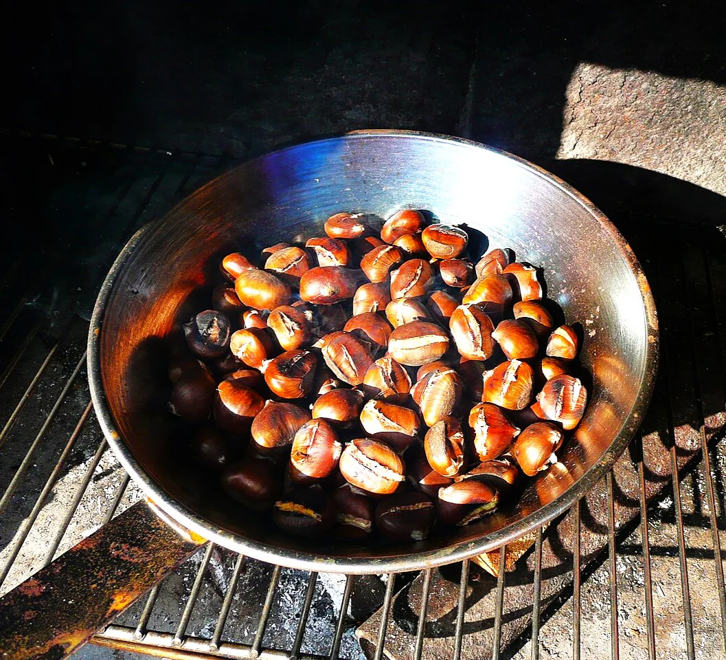 Sweet Chestnut Tree (European x Japanese Hybrid) - Image 9